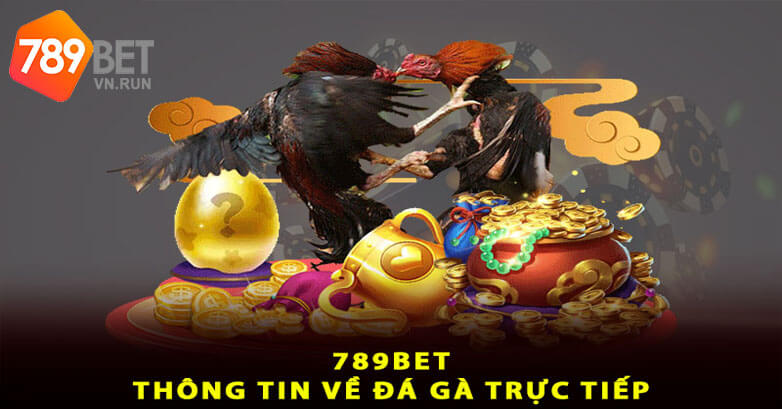 Giới thiệu về đá gà 789bet