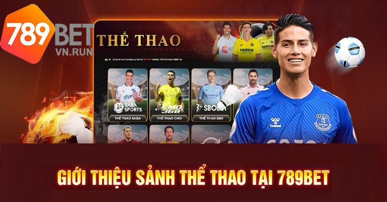 Tổng quan về thể thao 789bet